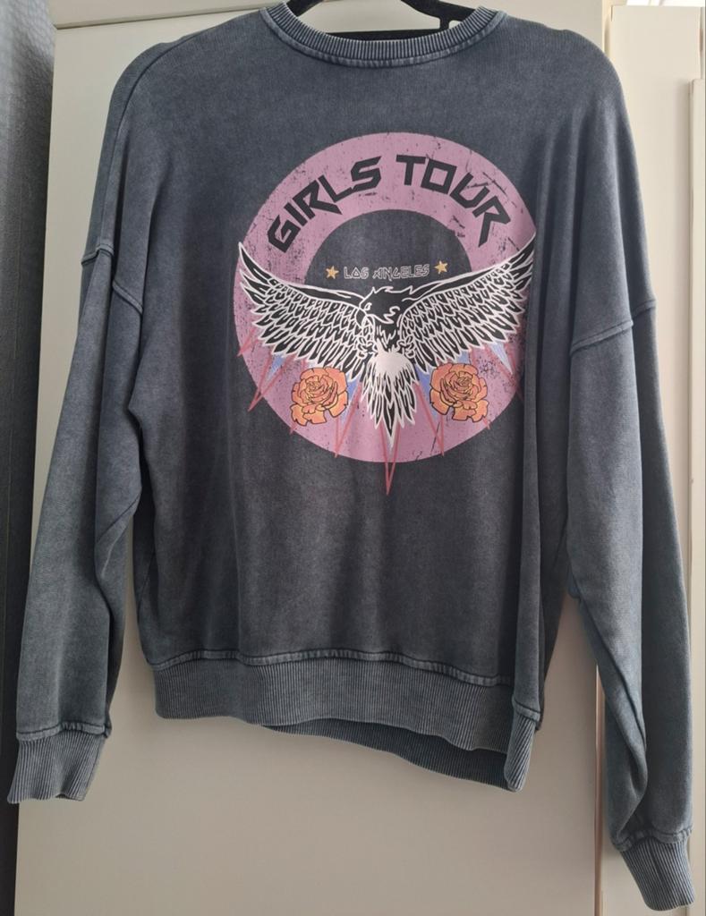 Loavies Girls Tour Sweater Maat M, Maat 38/40 (M), Ophalen of Verzenden, Loavies, Grijs