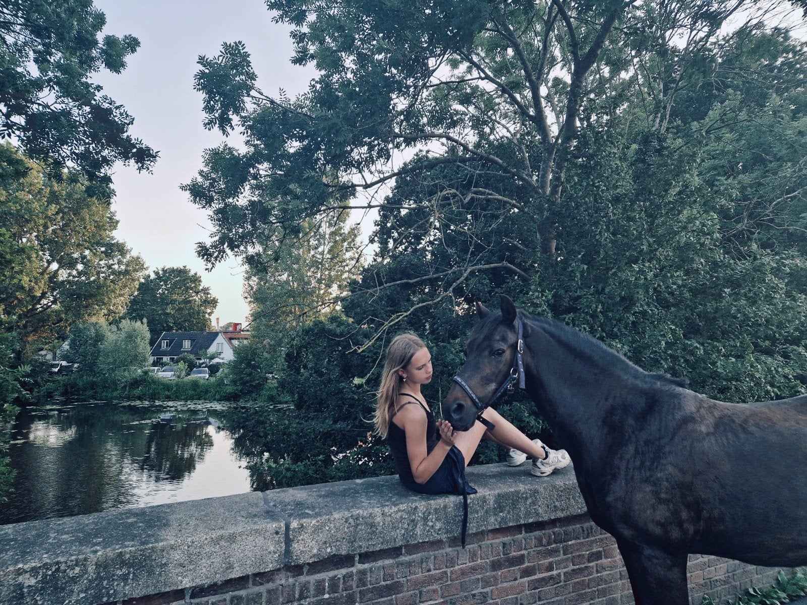 Stal plek gezocht het gooi