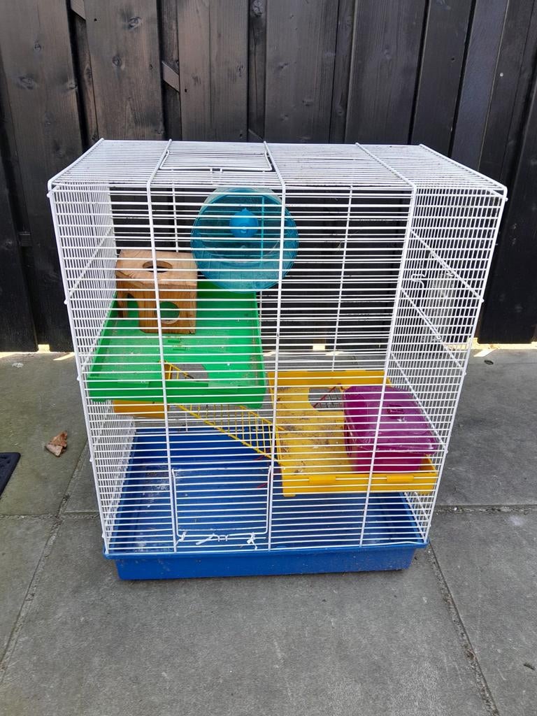 Hamsterhok, Gebruikt, Minder dan 75 cm, Ophalen, Minder dan 60 cm