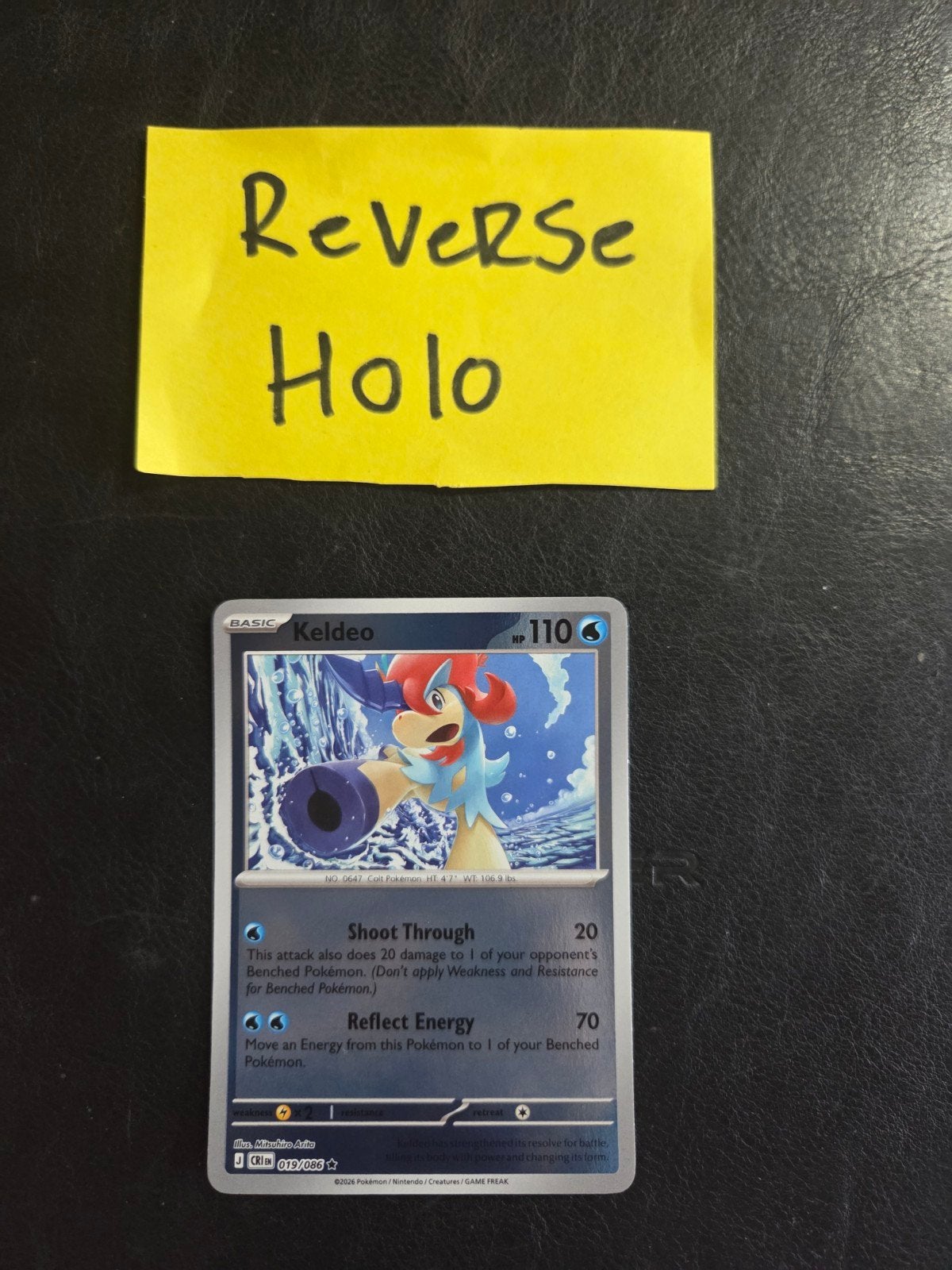 Keldeo 019/086 Chaos rising, Ophalen of Verzenden, Zo goed als nieuw