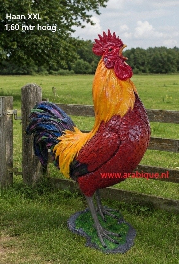 Haan XXL   , of  Hen   ... kip ... kippen ., Ophalen of Verzenden, Nieuw, Kunststof, Dierenbeeld