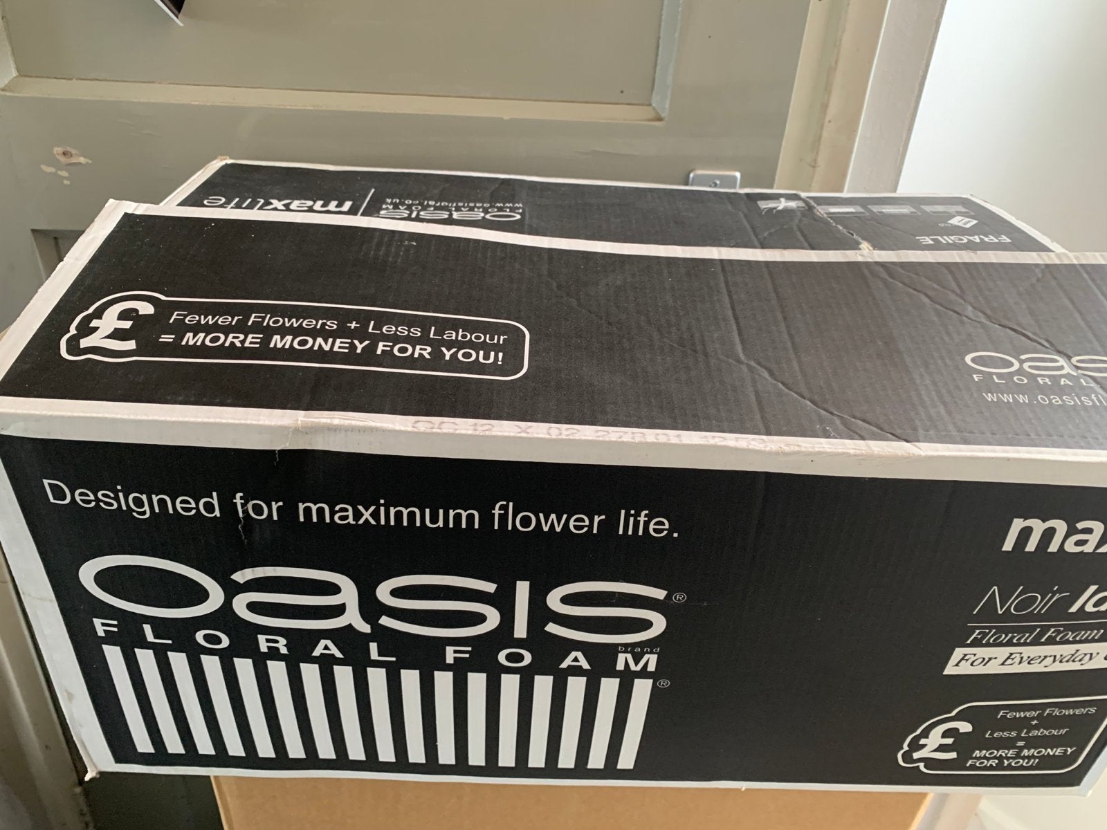 Oasis Floral Foam Maxlife - Nieuw in doos, Nieuw, Overige materialen, Grijs, Overige merken