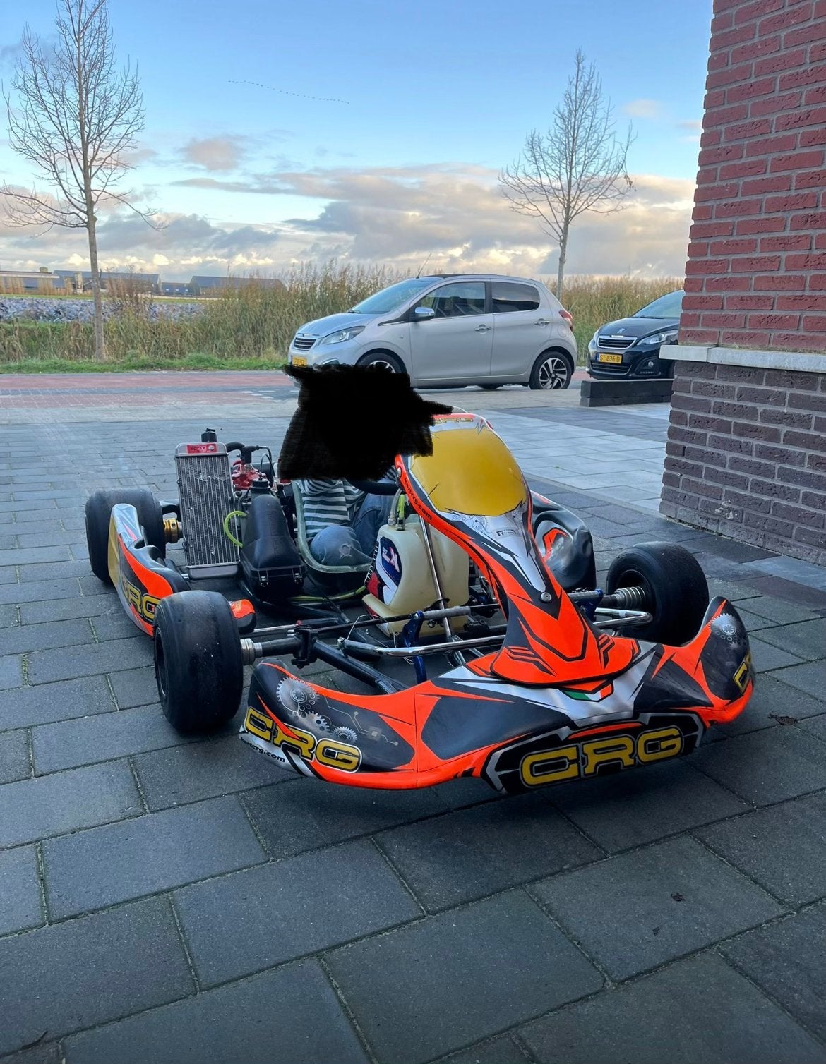 Rotax Max 125cc Kart - Nette staat, elektrisch start, Ophalen, Gebruikt, Kart