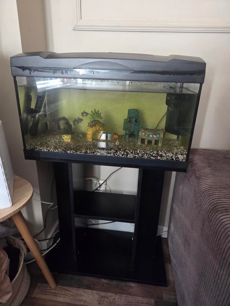 aquarium kast en vissen, Vis