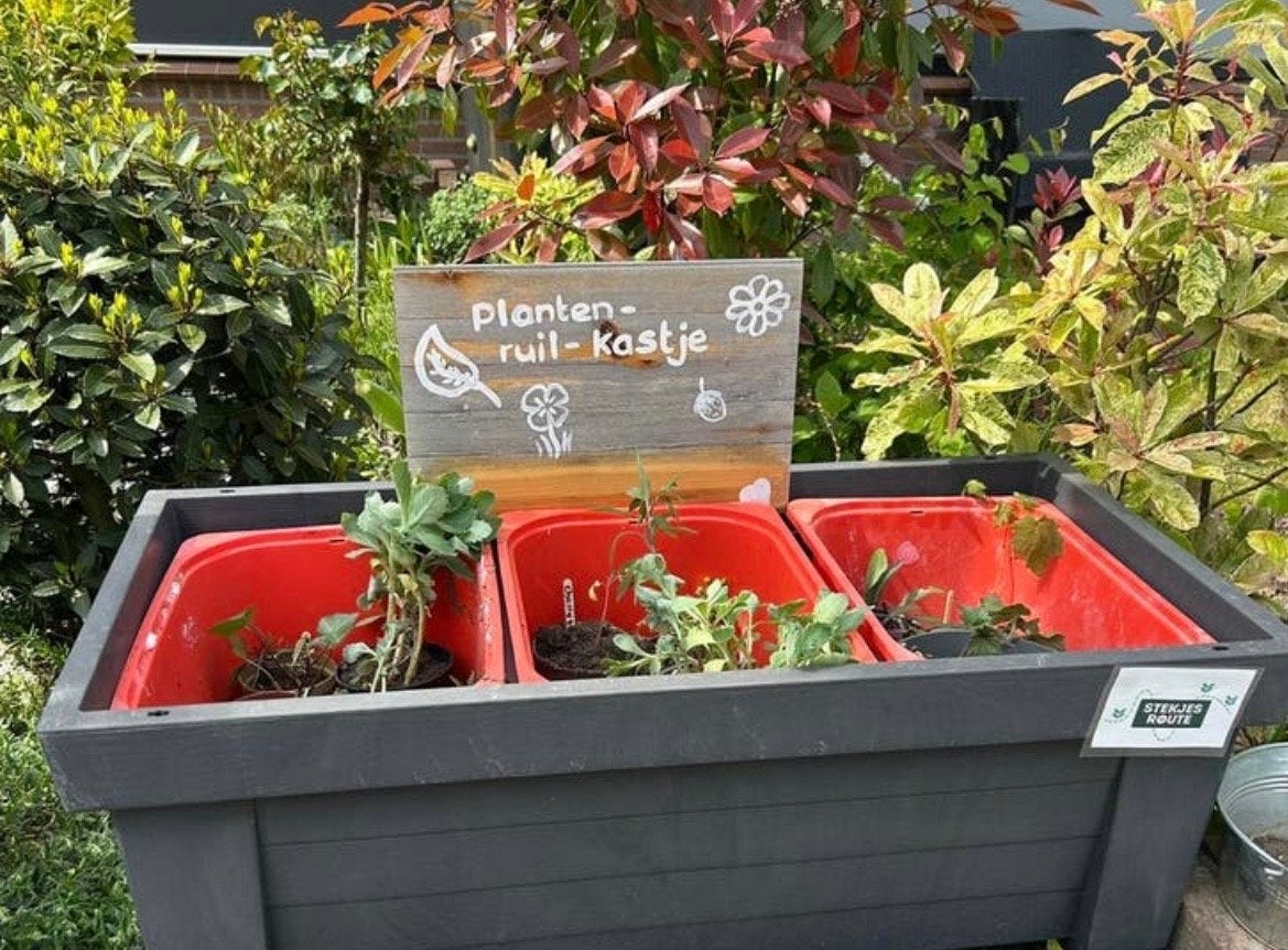 Planten ruilen in het planten-ruil-kastje, Ophalen, Overige soorten, Volle zon