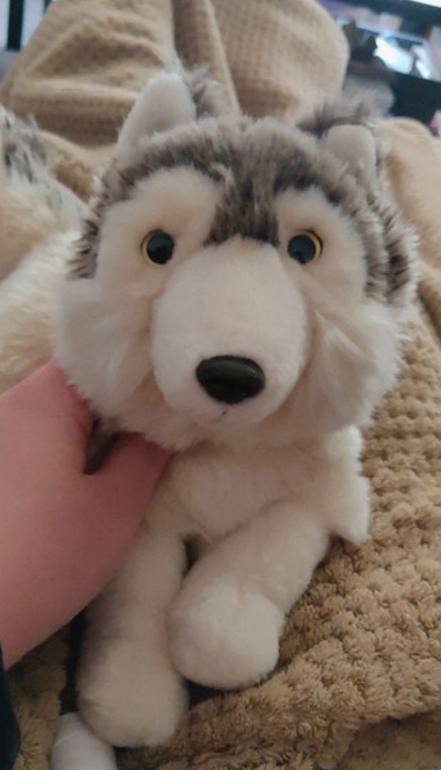 Hele mooie wolf knuffel van het wwf zi goed als nieuw, Ophalen of Verzenden, Zo goed als nieuw, Overige typen