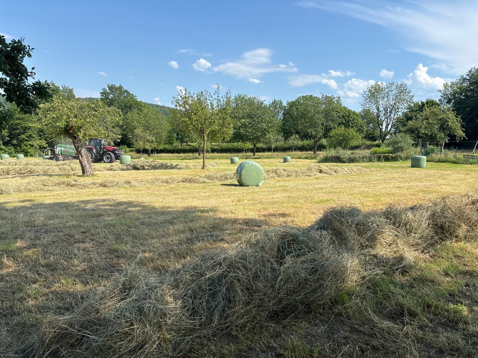 Midi hooibalen - Vers hooi van eigen land, Ophalen