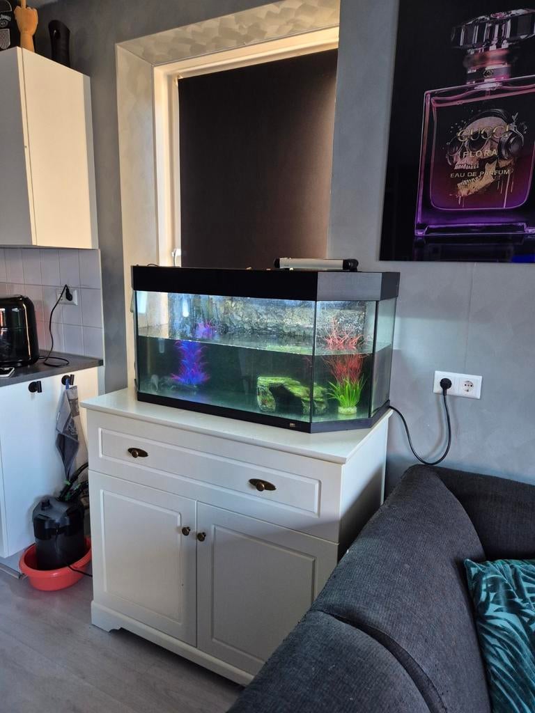 Aquarium zonder kast, Ophalen, Leeg aquarium