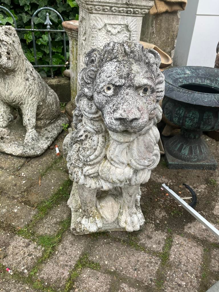 Betonnen leeuw - 60 cm hoog, Tuin en Terras, Tuinbeelden, Ophalen, Dierenbeeld, Zo goed als nieuw, Nvt