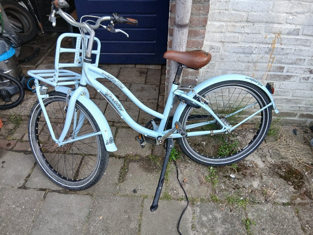 Gazelle freestyle 24 inch, Ophalen, Terugtraprem, Versnellingen, Gazelle