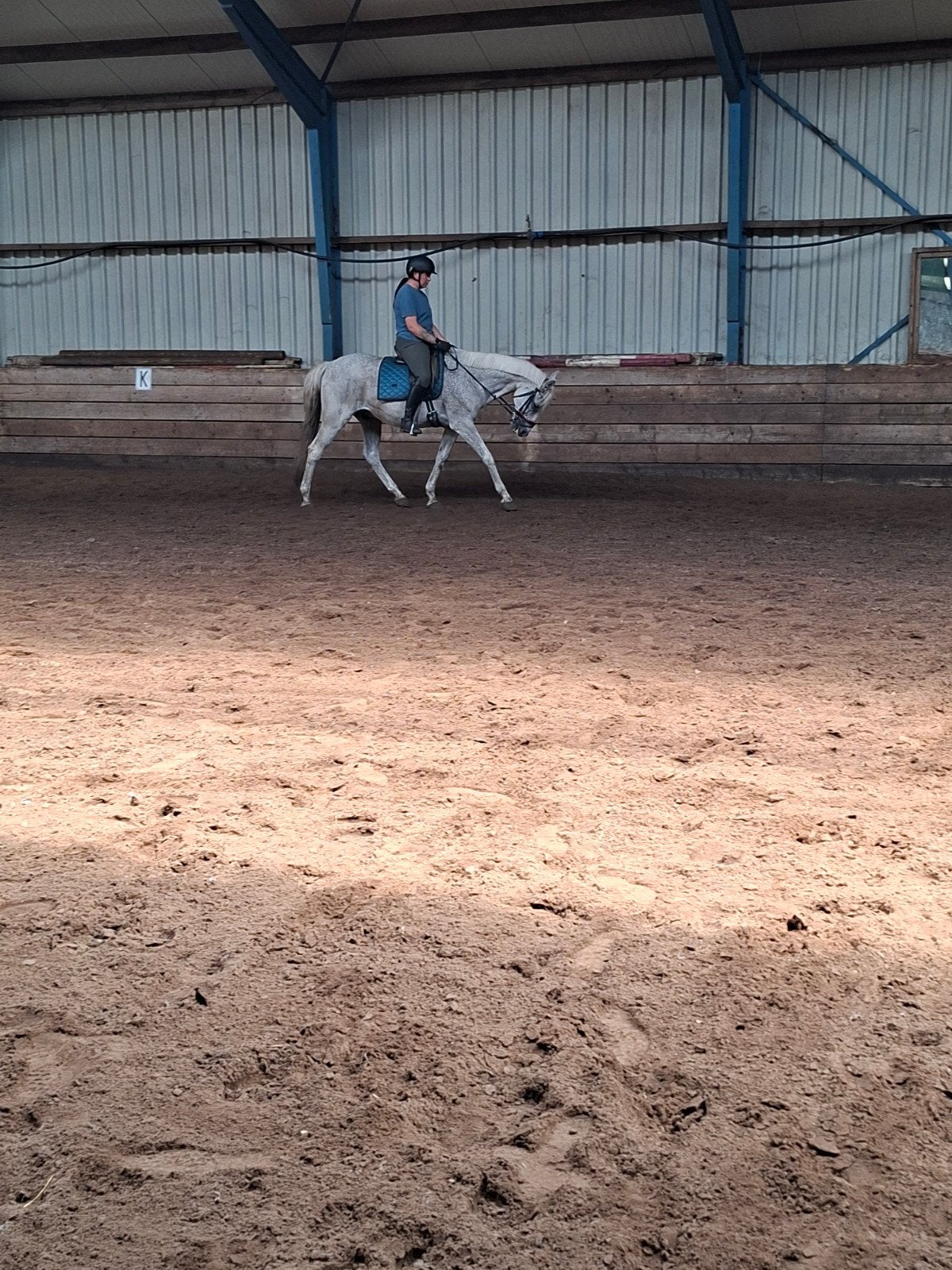 lief paard voor de handige ruiter, B, Ruin, 160 tot 165 cm, 11 jaar of ouder