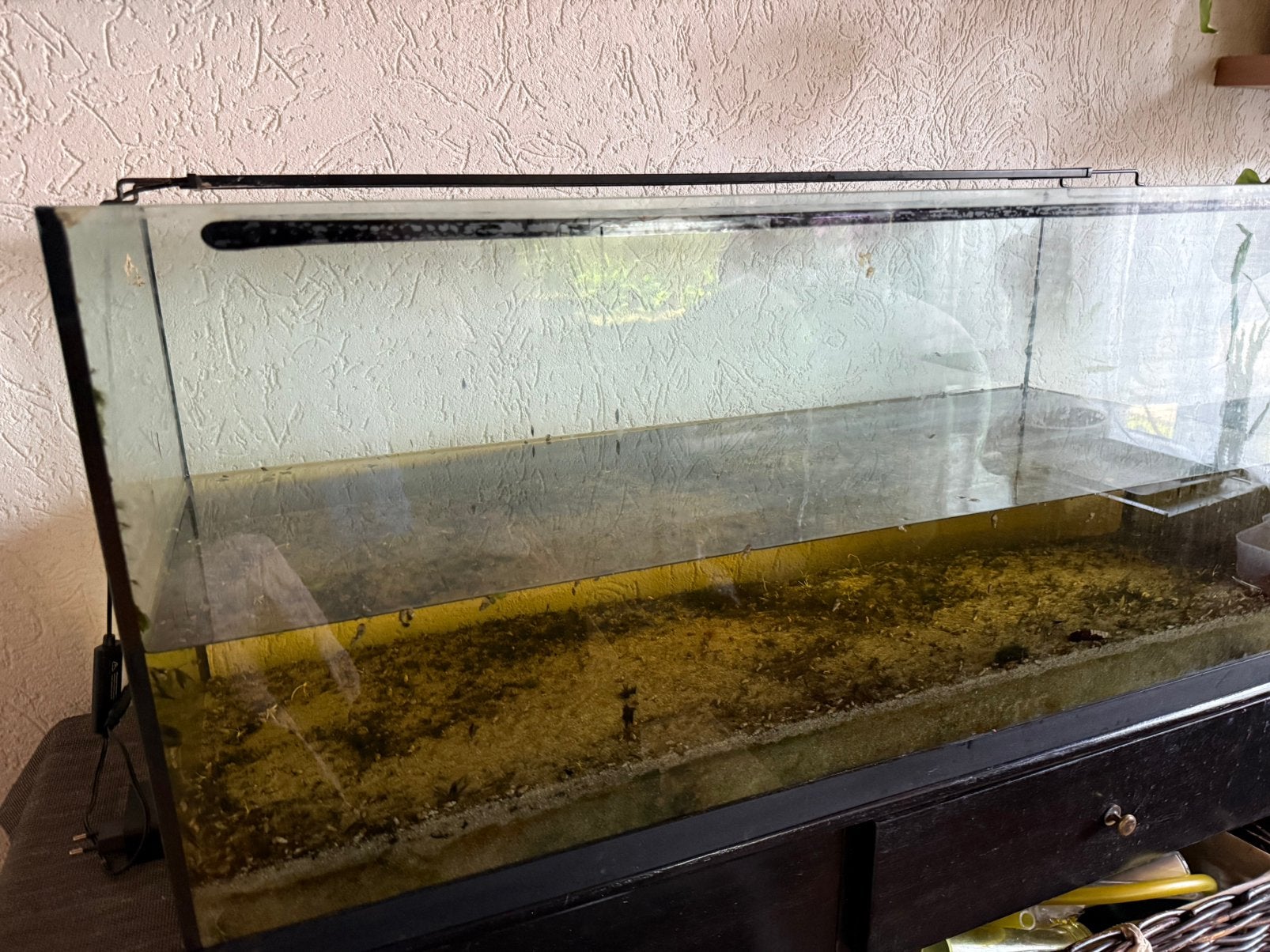 Aquarium bak, Ophalen, Zo goed als nieuw, Leeg aquarium