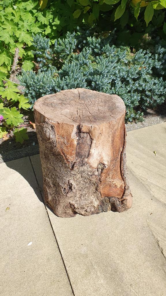 Hakblok / kloofblok voor haardhout (ca 26 x 20 cm), Minder dan 3 m³, Ophalen of Verzenden, Blokken