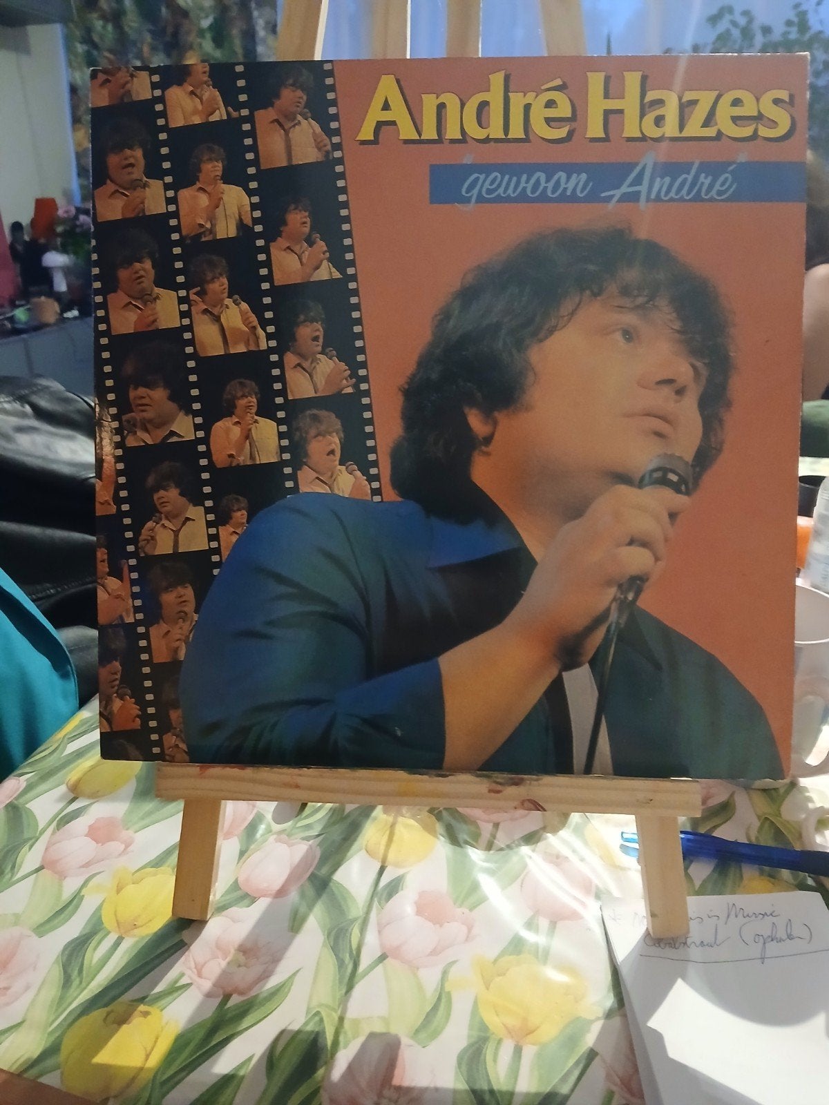André Hazes - Gewoon André LP (Pop, 1977), Ophalen of Verzenden, Gebruikt, 12 inch, LP