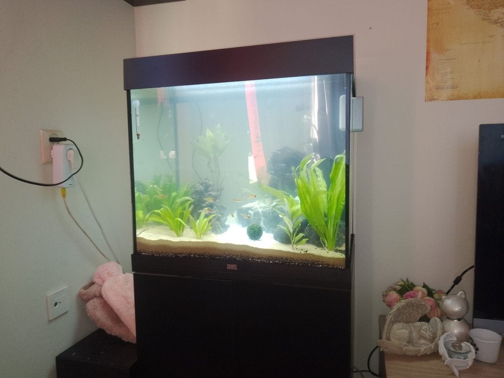 Juwel Lido 120 Aquarium inclusief zwarte onderkast, Dieren en Toebehoren, Vissen | Aquaria en Toebehoren, Ophalen, Verwarming