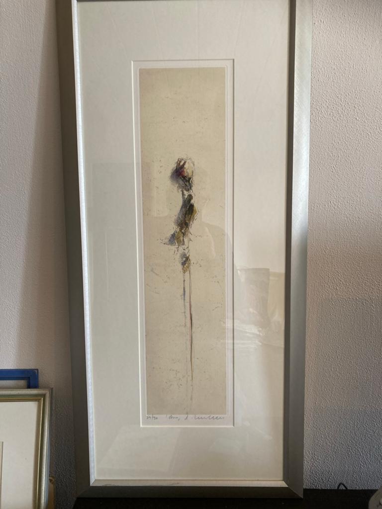 Alessandro Nocentini - Ingekleurde Genummerde Ets "de Roos", Ophalen of Verzenden, Origineel, Flora en Fauna, 70 cm