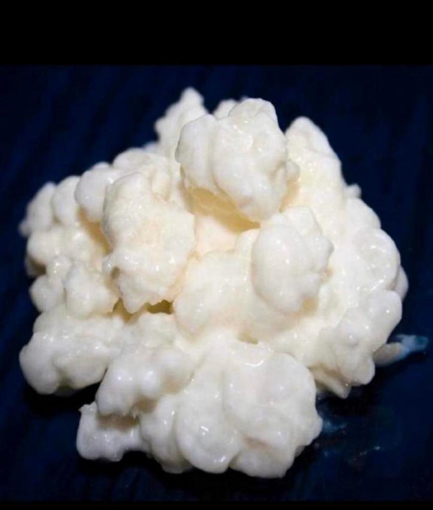 Kefir korrels, Diversen, Levensmiddelen, Ophalen