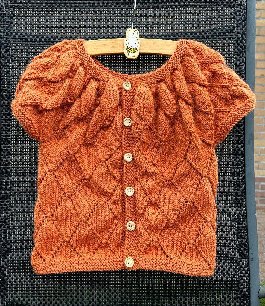 wollen vestje voor meisje maat 98 NIEUW, Kinderen en Baby's, Meisje, Trui of Vest, Handgemaakt, Nieuw