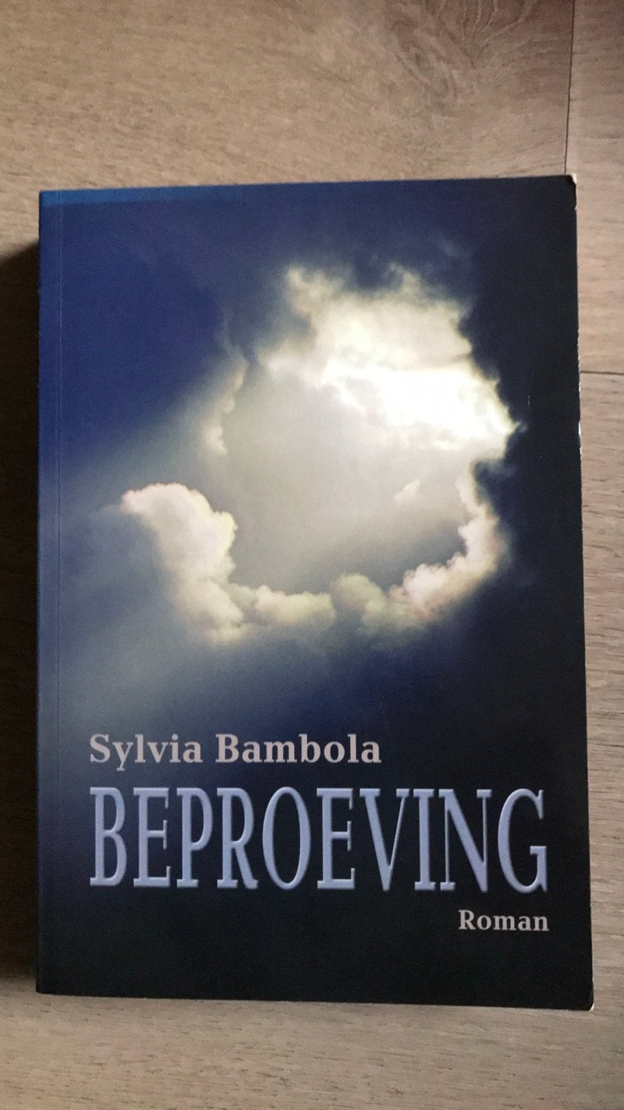 Beproeving - Roman van Sylvia Bambola, Ophalen of Verzenden, Gelezen, Nederland