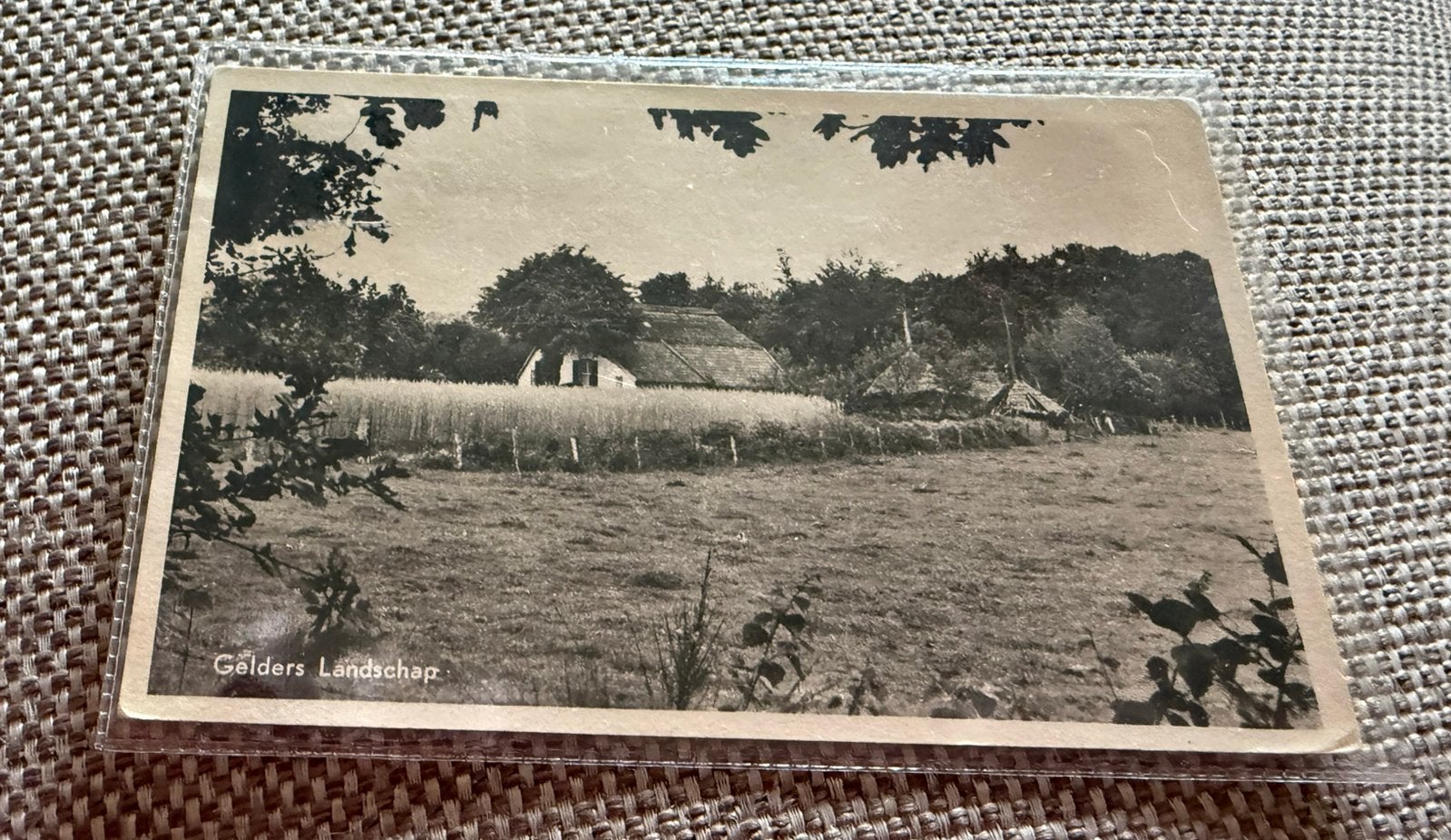Ansichtkaart Epse Gelders landschap, Ophalen of Verzenden