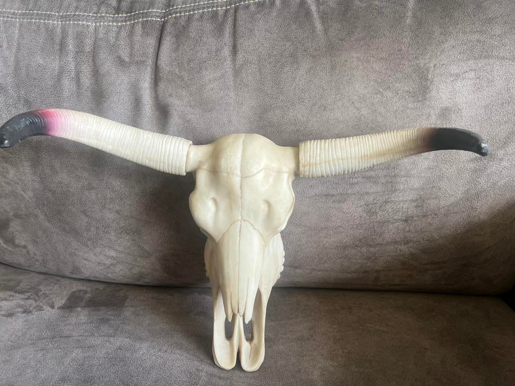Vintage Decoratieve Stierenschedel/ Buffel Kunsthars., Huis en Inrichting, Woonaccessoires | Wanddecoraties, Zo goed als nieuw