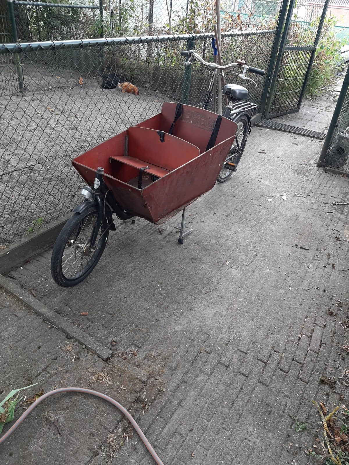 Bakfiets - Ideaal voor kinderen of goederen, Ophalen, Gebruikt