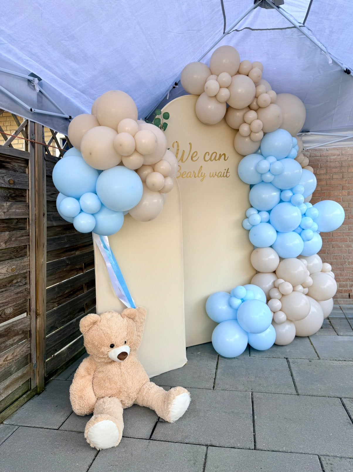 Gender reveal en Babyshower decoratie / Ballonnen Backdrop, Ophalen