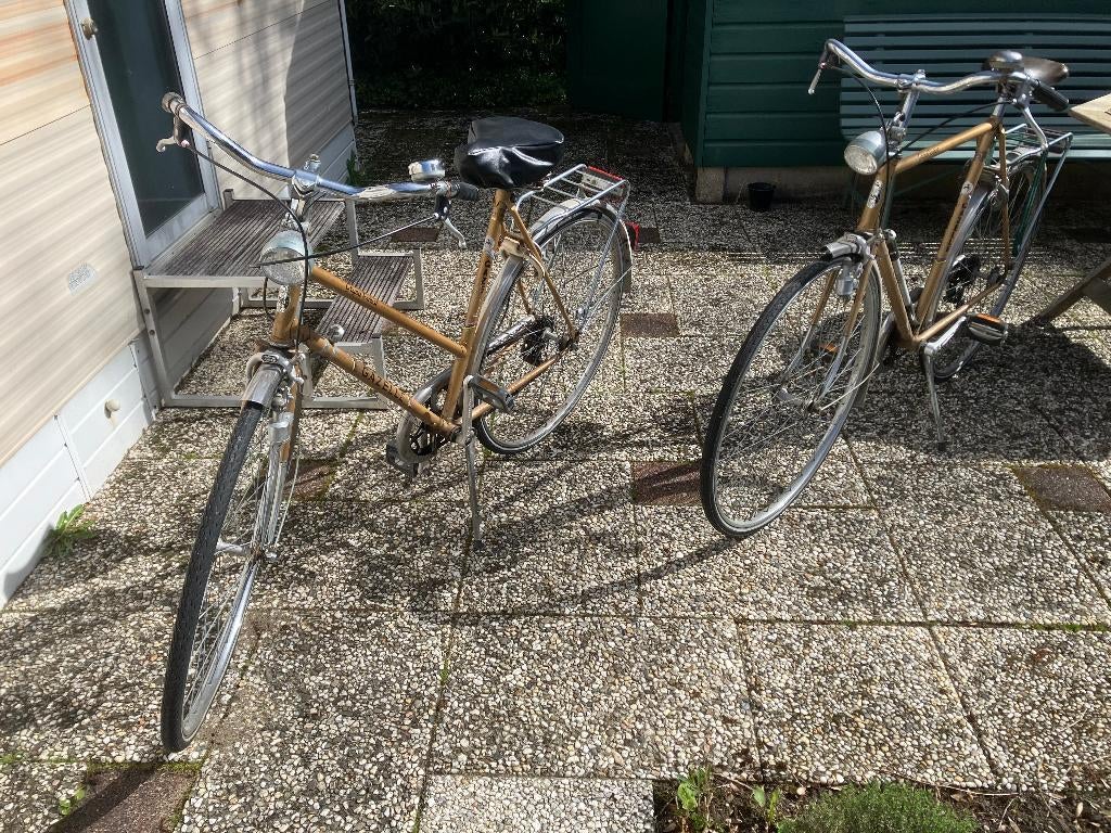 Klassieke Gazelle fietsen. Dames en Heren., Ophalen, Gebruikt, Velgrem, Versnellingen