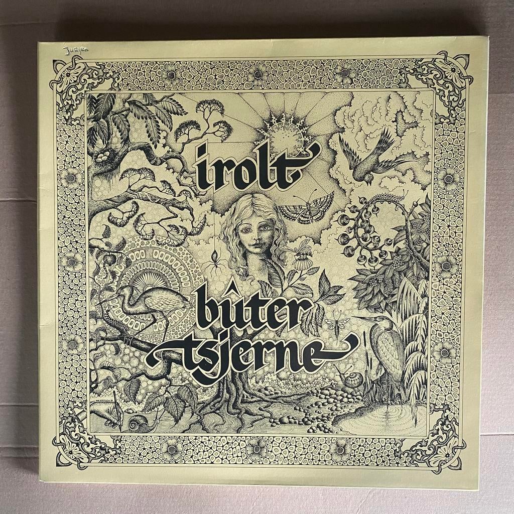 Lp - irolt - butertsjerne (friese folk), Cd's en Dvd's, Ophalen of Verzenden, Zo goed als nieuw, 12 inch