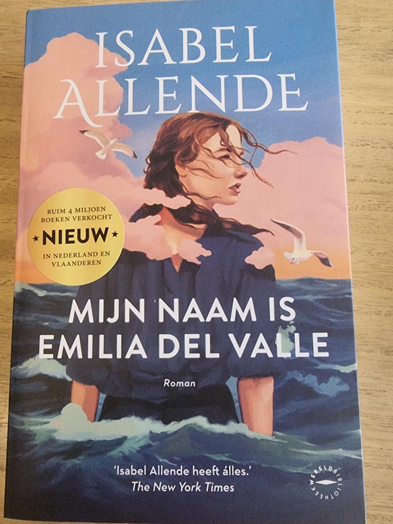 Diverse boeken verkoop, Boeken, Literatuur, Zo goed als nieuw, Amerika, Verzenden