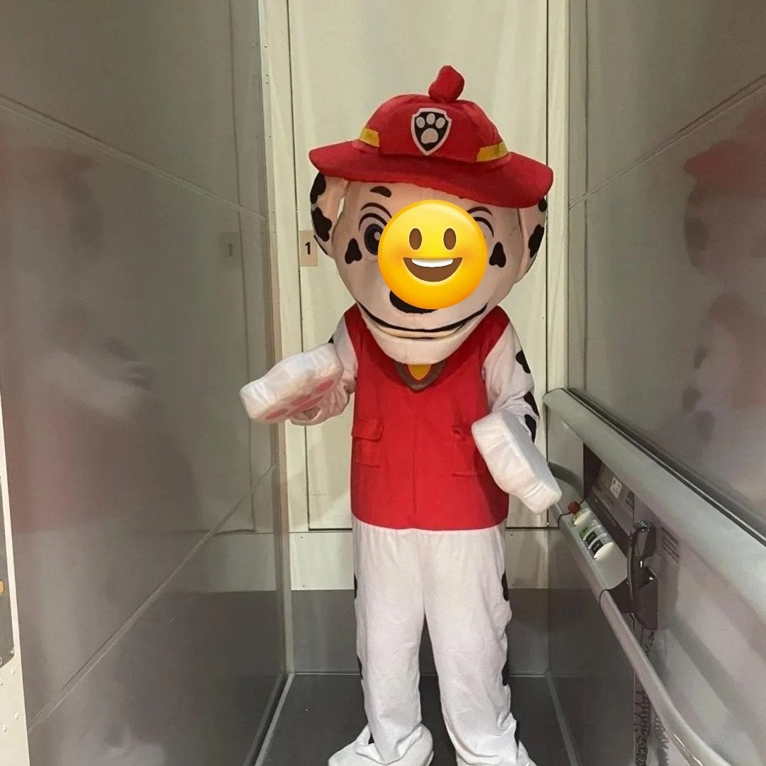 mascotte pak te huur, Ophalen of Verzenden, Zo goed als nieuw, Overige