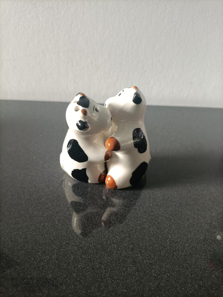 Peper- en zout stelletje, Overige typen, Ophalen of Verzenden, Nieuw, Steen/keramiek