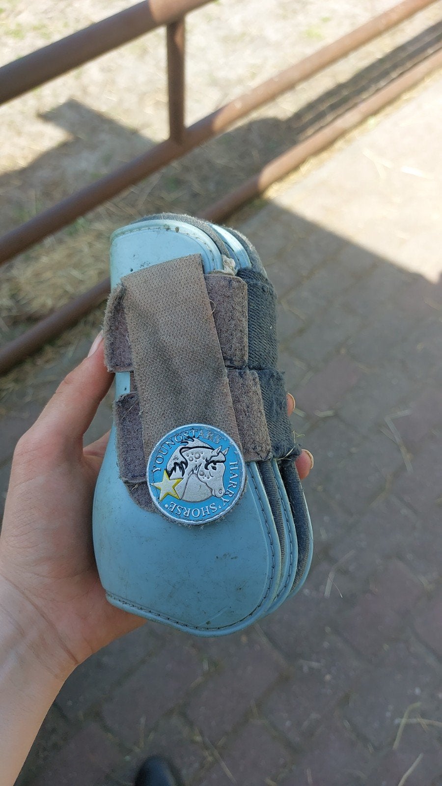 Shetlander peesbeschermers voor grote shet, Ophalen of Verzenden