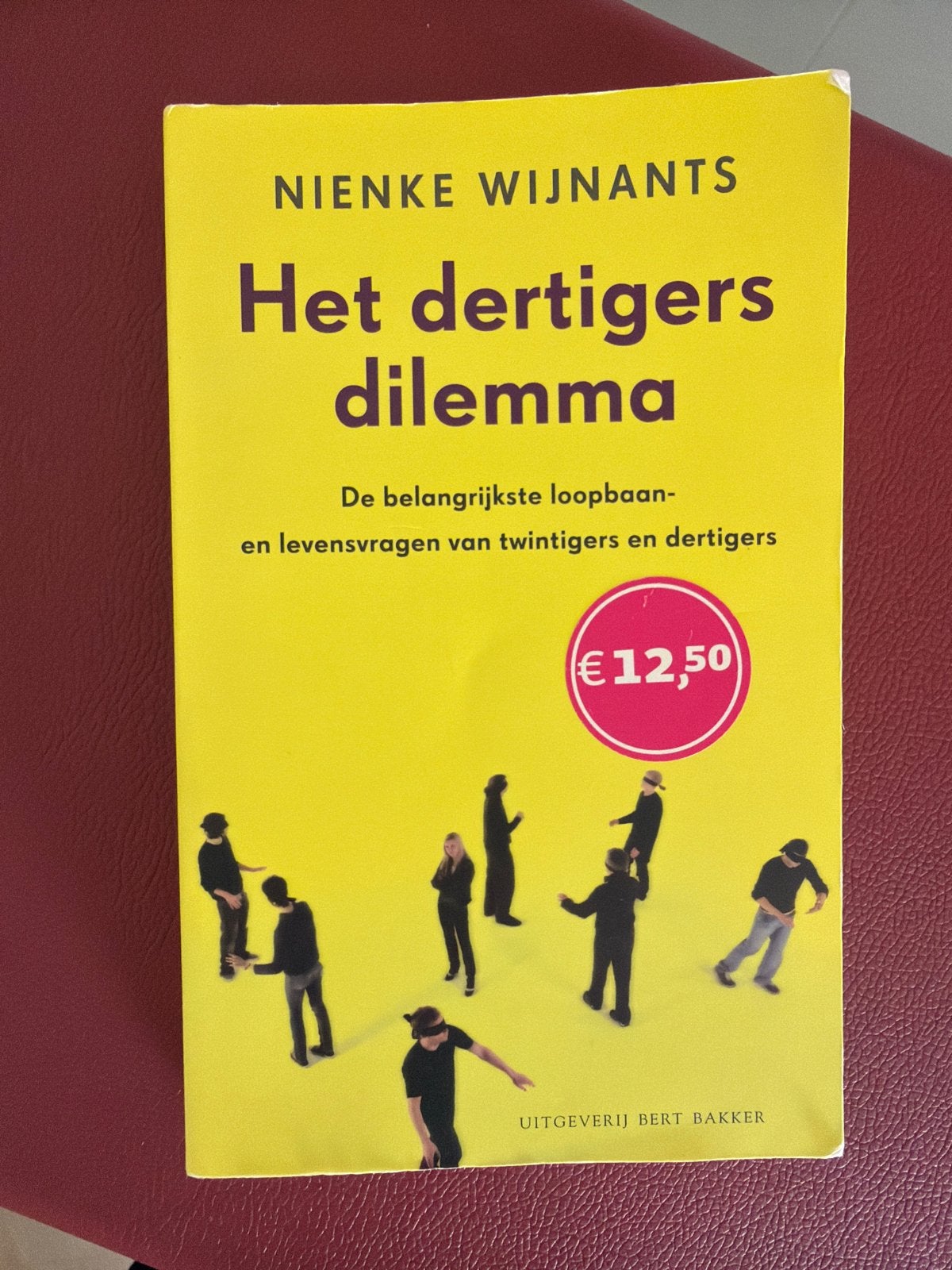 Het dertigers dilemma - Nienke Wijnants, Ophalen of Verzenden, Zo goed als nieuw