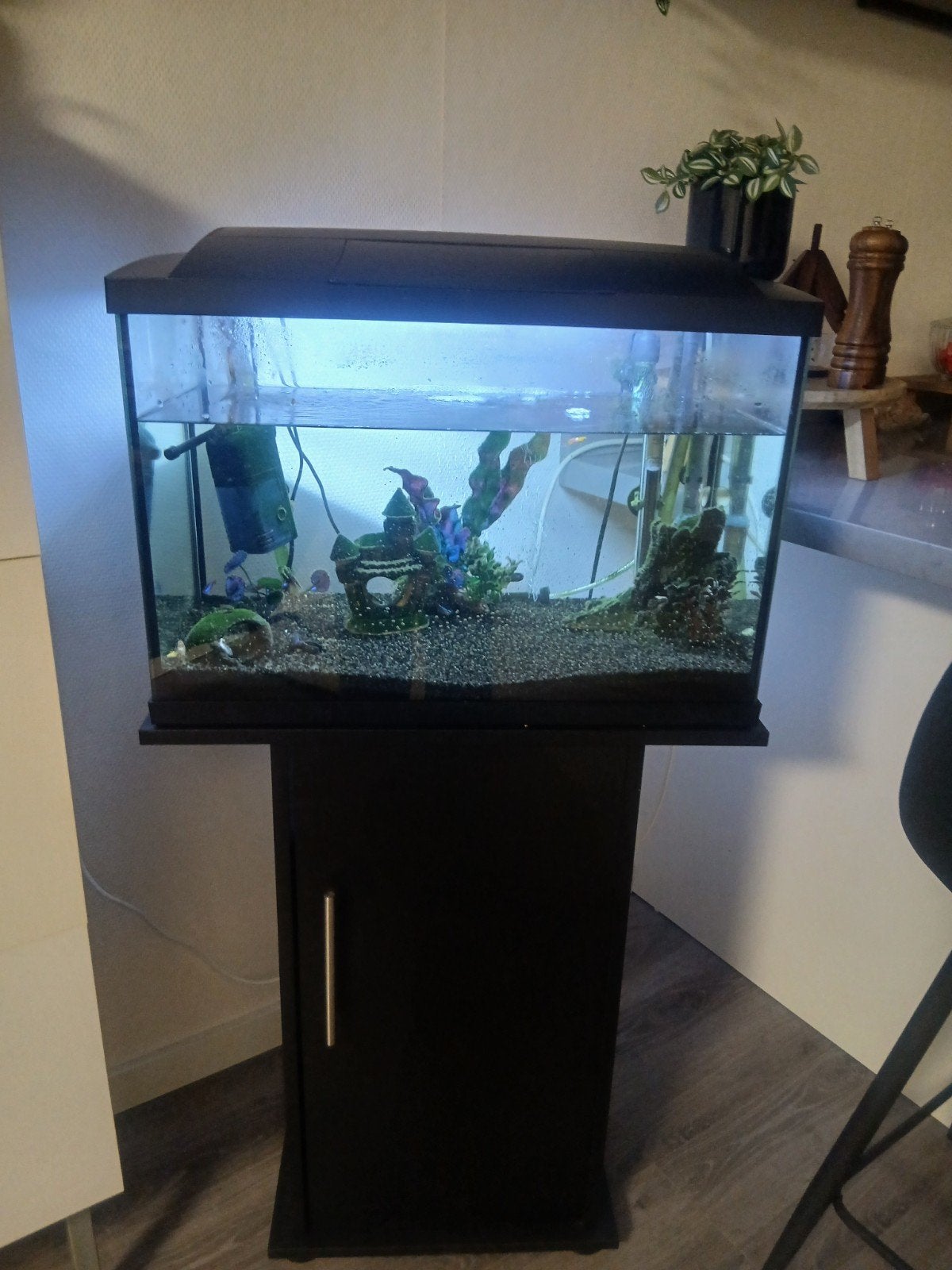 Aquarium met meubel en vissen, Dieren en Toebehoren, Ophalen, Gevuld zoetwateraquarium