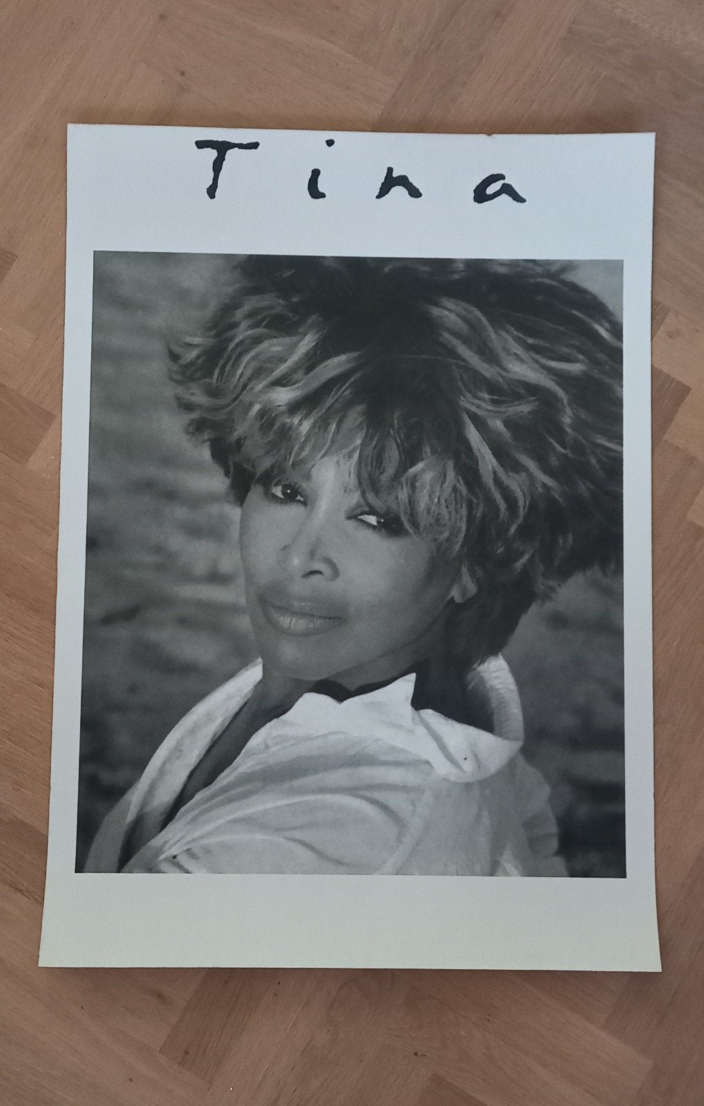Tina Turner, Ophalen of Verzenden, Muziek