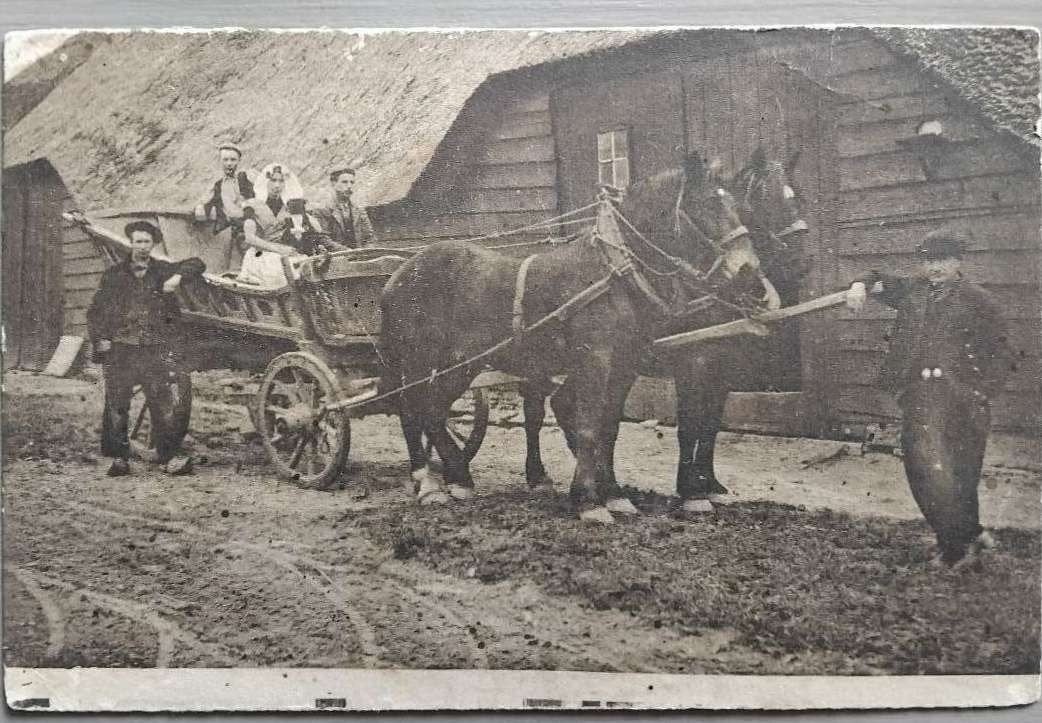 (ca. 1905-1915) - Paard en Wagen bij Boerderij, Ophalen of Verzenden, Voor 1920, Ongelopen
