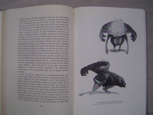 Edel wild  Maasdijk  jacht jagen, Boeken, Natuur, Gelezen, Natuur algemeen, Verzenden