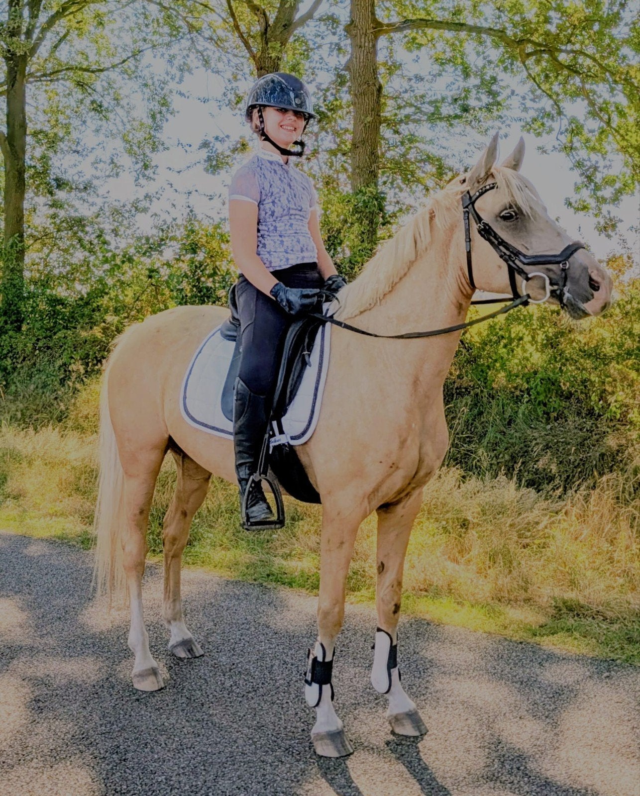 Superfijne D pony, Merrie, Dressuurpony, 3 tot 6 jaar, D pony (1.37m tot 1.48m)