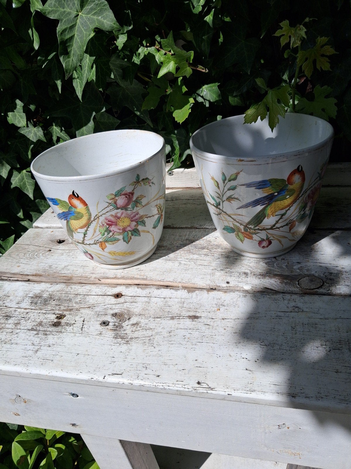 2 bloempotten petrus regout, Ophalen