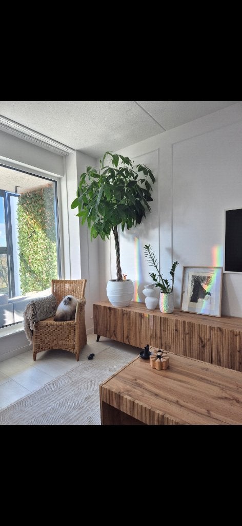 Wandmeubel/ tv meubel en salontafel, Ophalen, 150 tot 200 cm, Zo goed als nieuw, Minder dan 100 cm