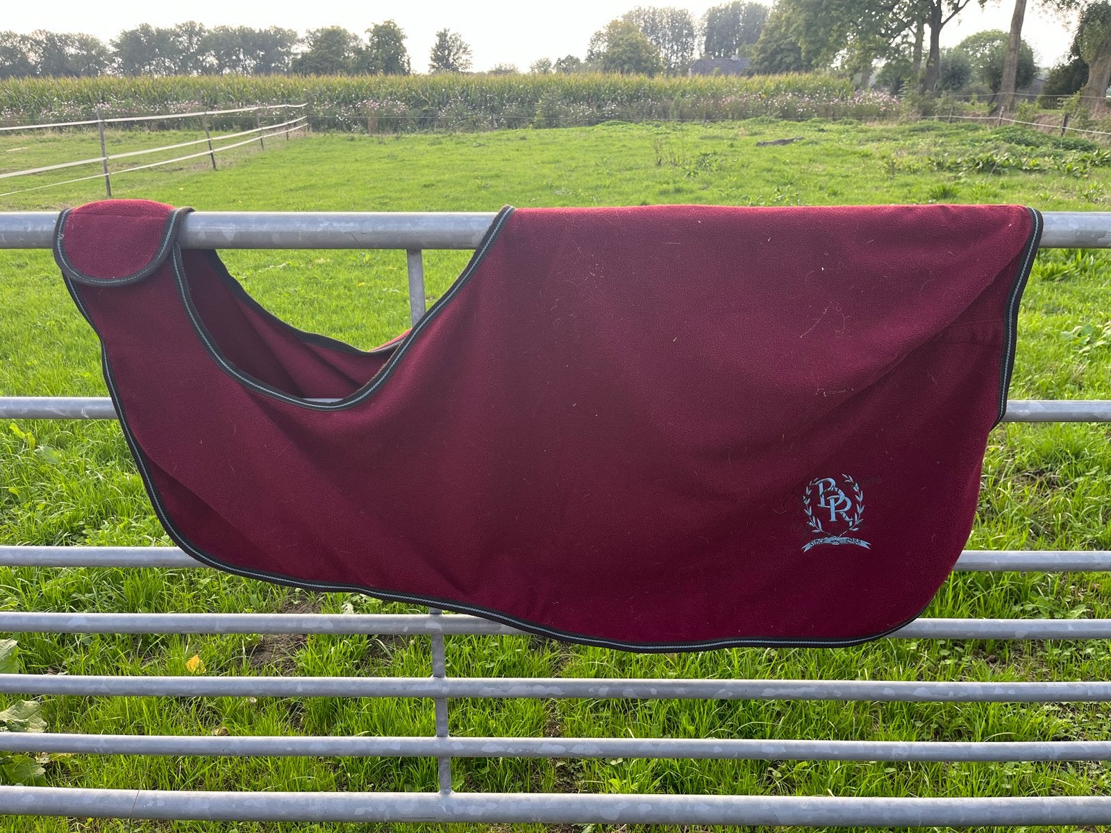 Verschillende dekens te koop, Dieren en Toebehoren, Ophalen of Verzenden, Gebruikt, Regendeken