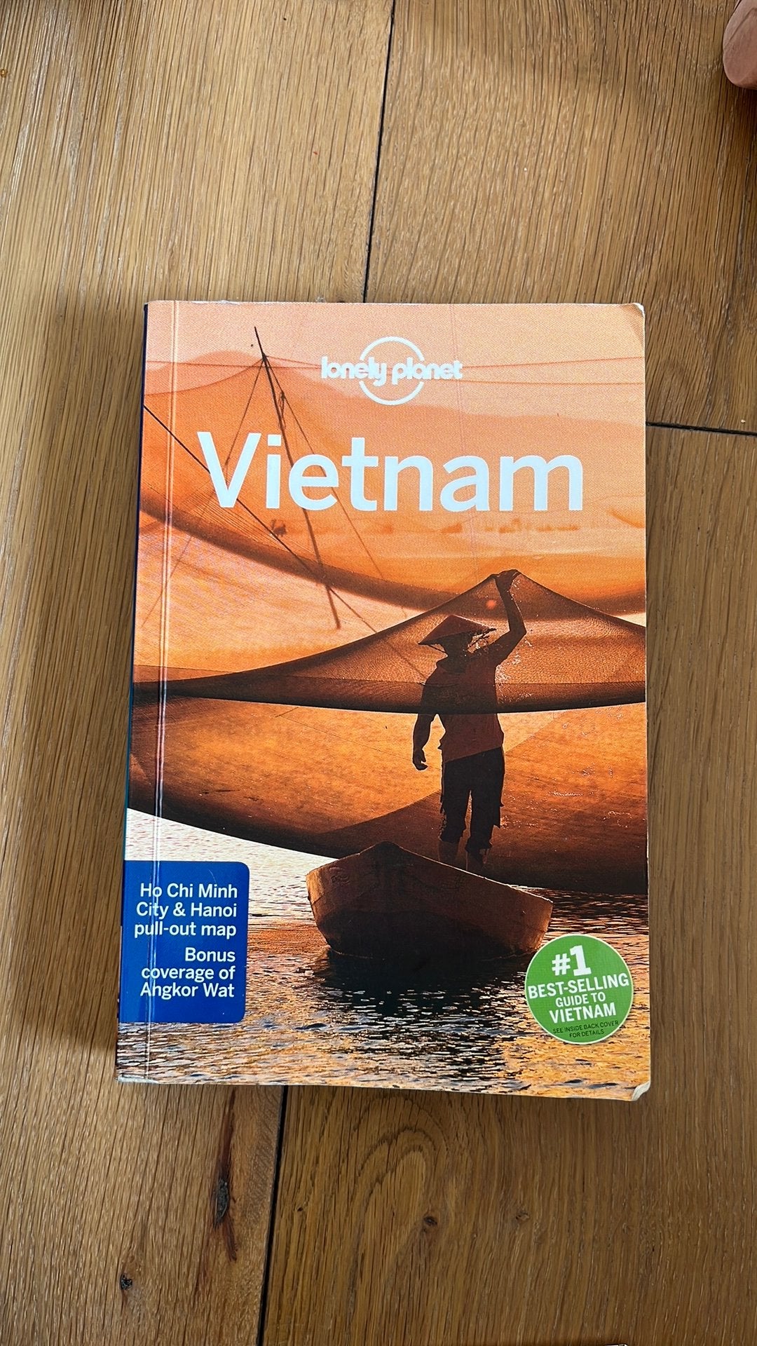 Lonely planet vietnam 2014, Boeken, Lonely Planet, Reisgids of -boek, Azië, Ophalen