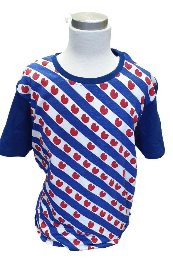 Fries T-shirt - Nieuw in diverse maten, Maat 38/40 (M), Blauw, Nieuw, Ophalen of Verzenden
