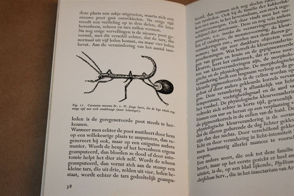 Rechtvleugelige Insecten — Vintage Boek Orthoptera 1941, Ophalen of Verzenden, Gelezen