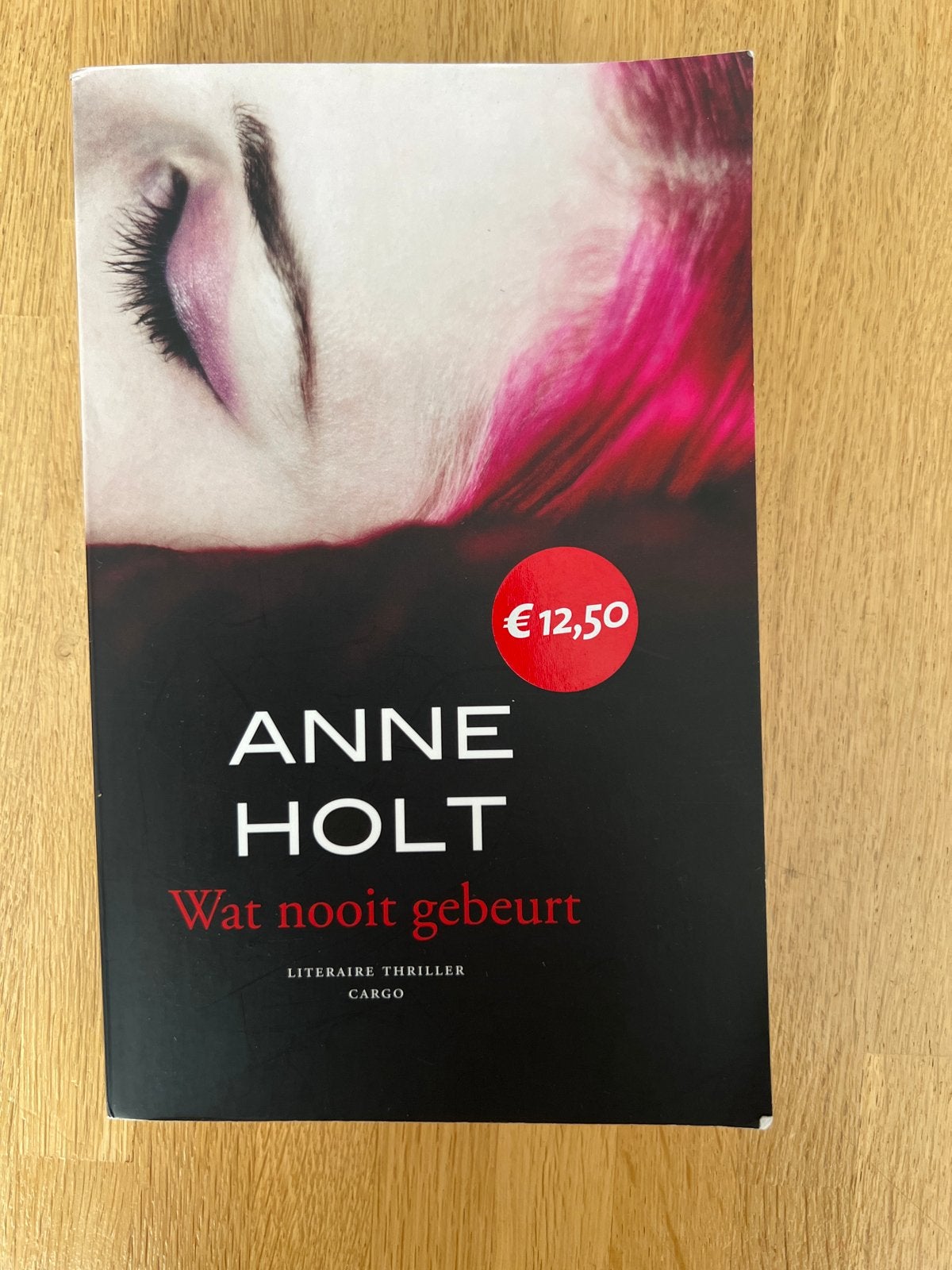 Wat nooit gebeurt - Anne Holt (Literaire thriller), Ophalen of Verzenden, Gelezen, Scandinavië