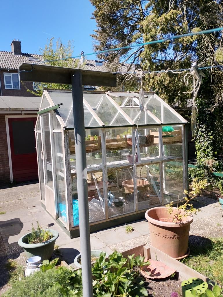 Tuinkas van hout met veiligheidsglas., Ophalen, Glas, Gebruikt, Overige materialen