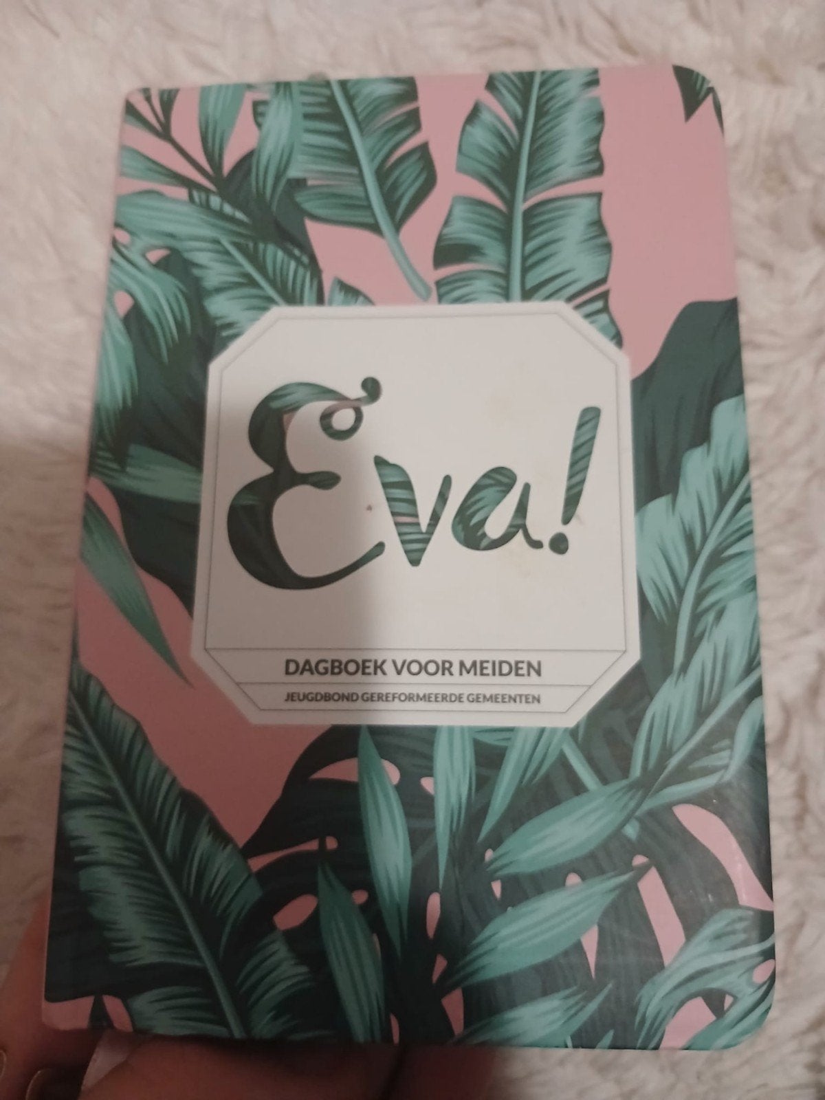 Eva dagboek, Ophalen of Verzenden, Uitwisbaar, Zo goed als nieuw, A5