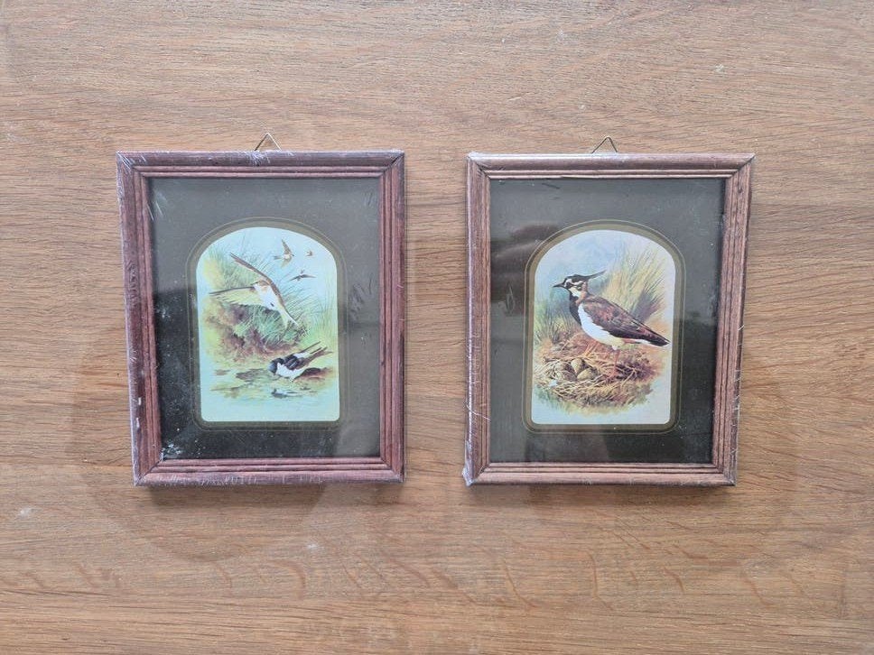 2 nieuwe fotolijstjes (nog in verpakking), Minder dan 50 cm, Nieuw, Ophalen of Verzenden, Schilderij