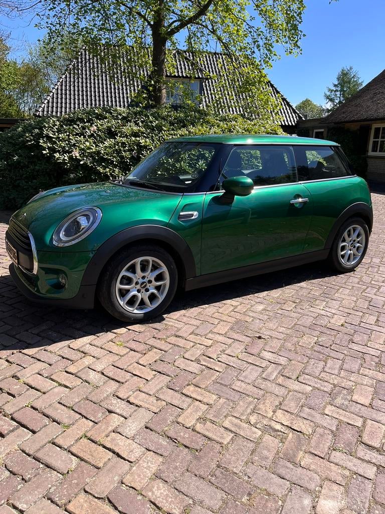 Mini 3-deurs (f56) 1.5 102pk 2019 Groen, Auto's, Mini, Voorwielaandrijving, 4 stoelen, 49 €/maand, 102 pk